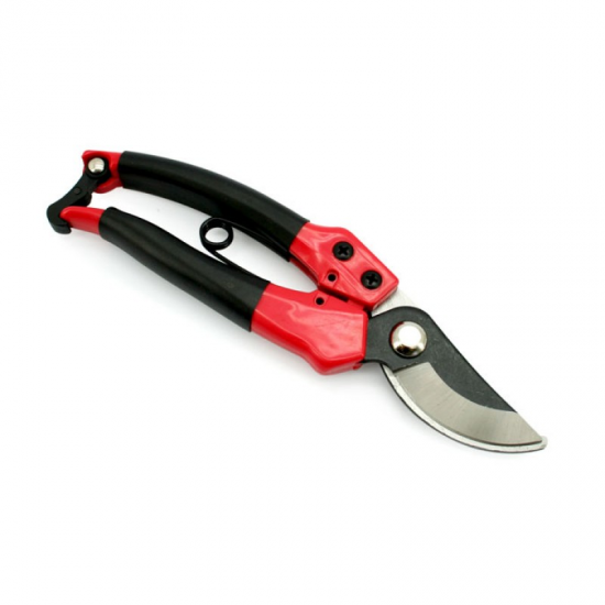 Secateurs