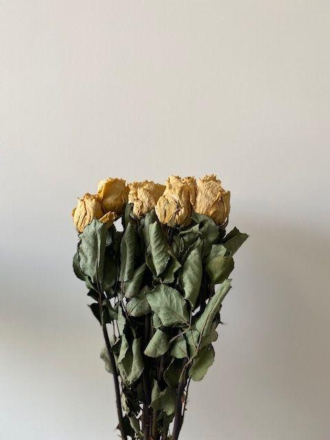 Roses Small Heads (dried)