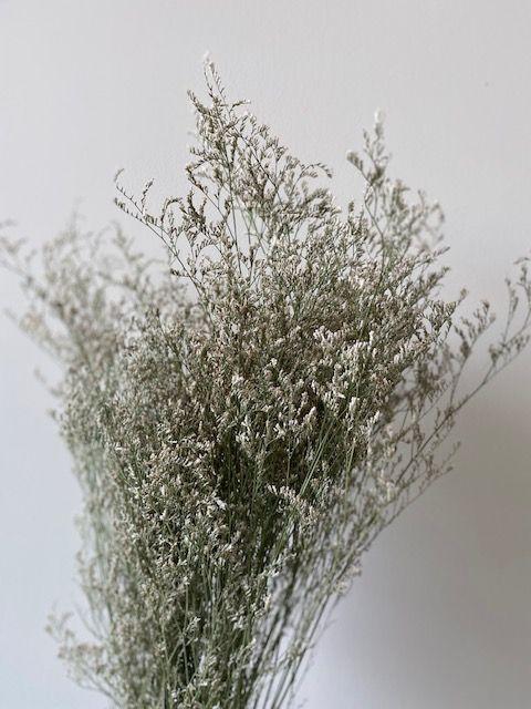 Caspea Limonium Supreme White (dried)