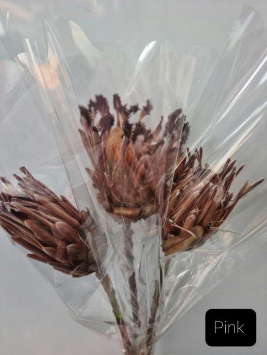 Protea stems Dried - Natural