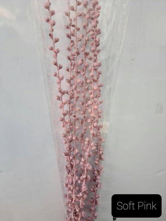 Wand Mullein - Soft Pink