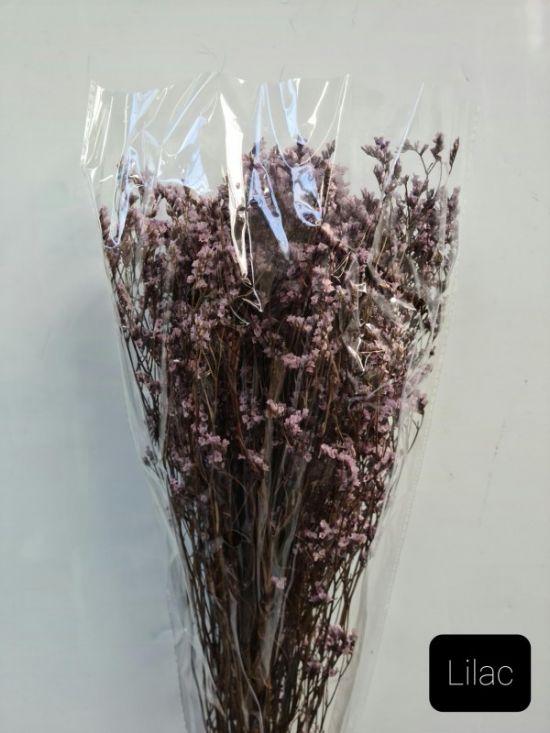 Statice Preserved - Lilac