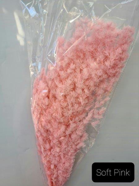 Ming Fern - Soft Pink