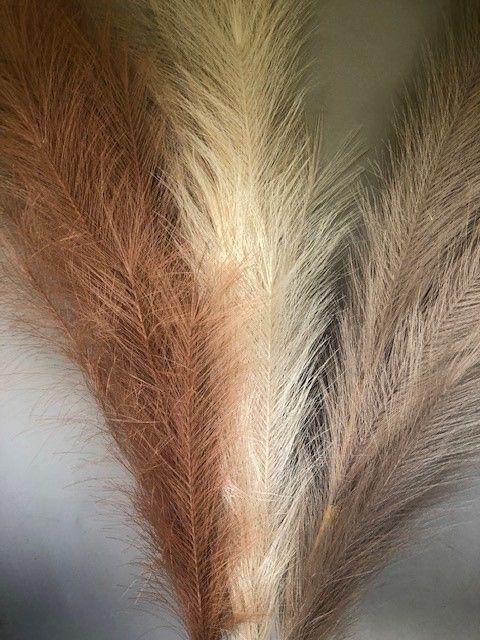 Artifical Pampas