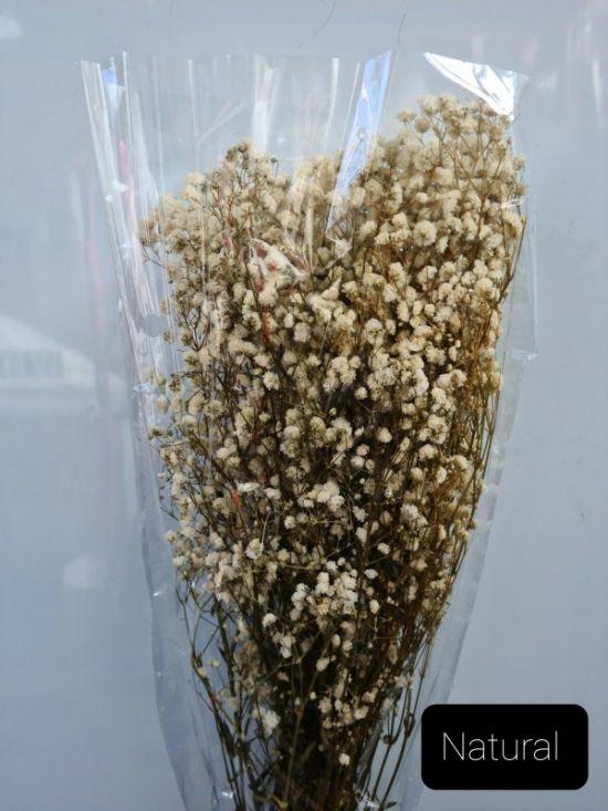 Gypsophila Dried Natural