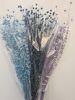 Soft Blue-Blue-Lilac