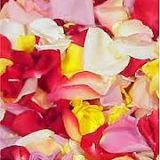 Roses - for Petals **Only Mixed Colours Available**