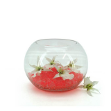 Fish Bowl - 15TD x 25W x 18H cm