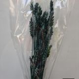 Wheat Dried Colours - 10+stems per bunch