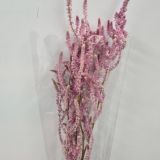 Statice Flowers (Uworowii) - Dried