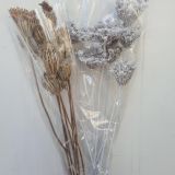 Wild Carrot Flower Dried Natural - 5stems per bunch